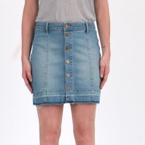 Articles of Society Alice Skirt Kirby Button Up Denim Skirt